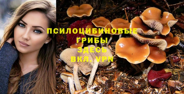 дурь Абинск