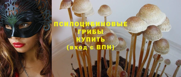 ПСИЛОЦИБИНОВЫЕ ГРИБЫ Абдулино