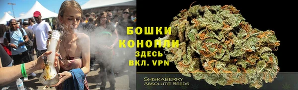ПСИЛОЦИБИНОВЫЕ ГРИБЫ Абдулино
