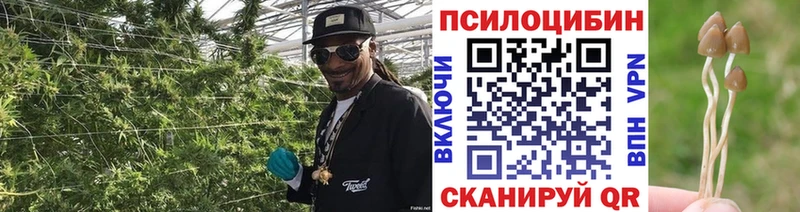 Галлюциногенные грибы GOLDEN TEACHER даркнет сайт Ангарск